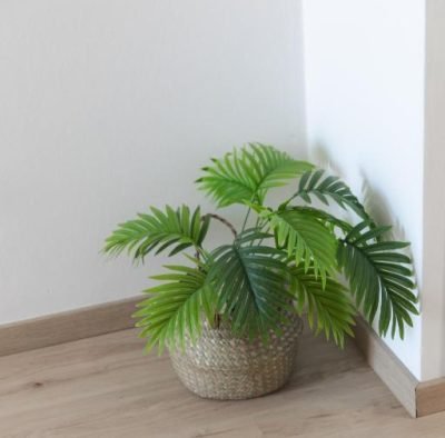 plant jp pool kardamena